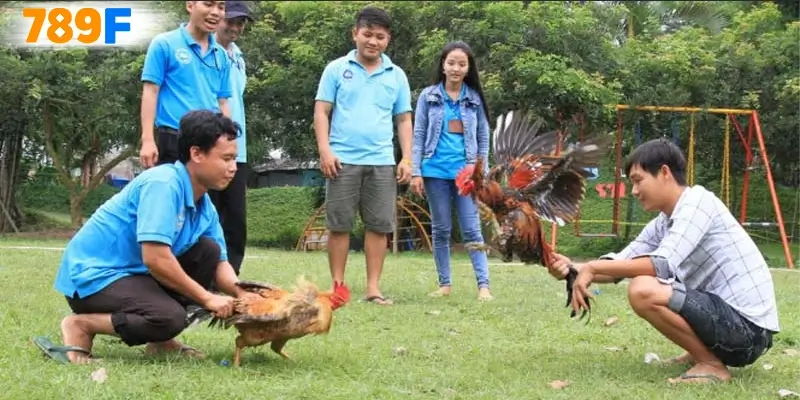 Những điều cần lưu ý